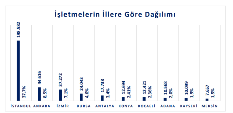 turkiye-eticaret-verileri-2022